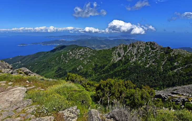 Vue du mont Capanne