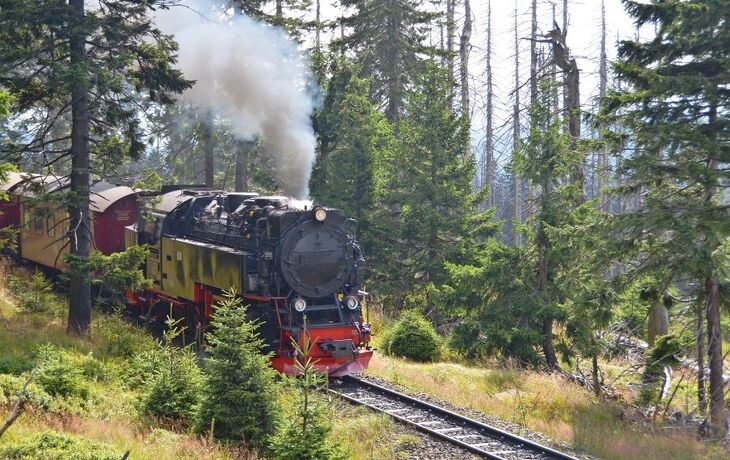 Harzer Schmalspurbahn