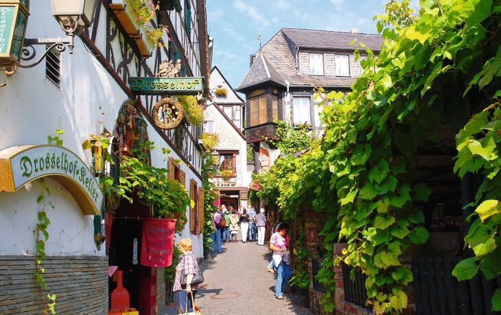 Rüdesheim, Drosselgasse