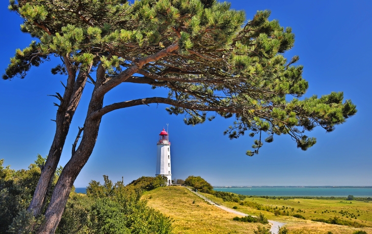 Insel Hiddensee, Dornbusch Leuchtturm