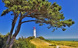 Leuchtturm auf einer Anhöhe mit Pinienbaum und Meer im Hintergrund bei klarem Himmel.