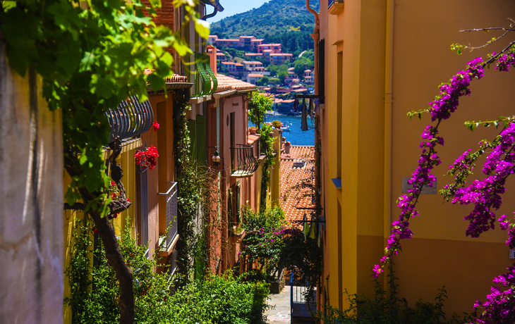 Collioure