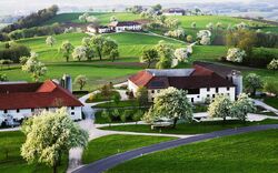 Frühlingslandschaft mit Obstbäumen und Höfen an der Moststraße.