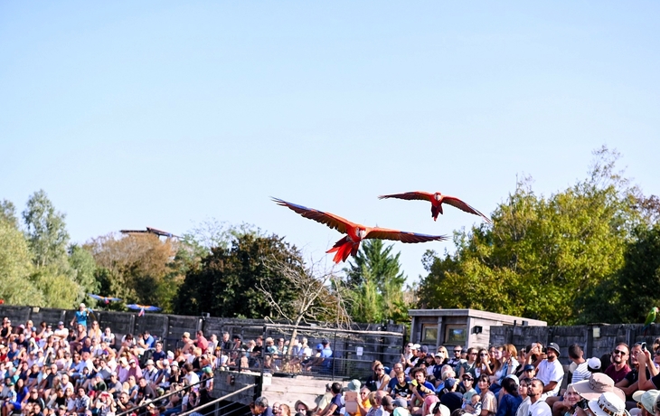 Parc des Oiseaux