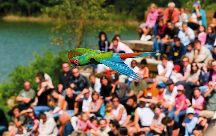 Parc des Oiseaux
