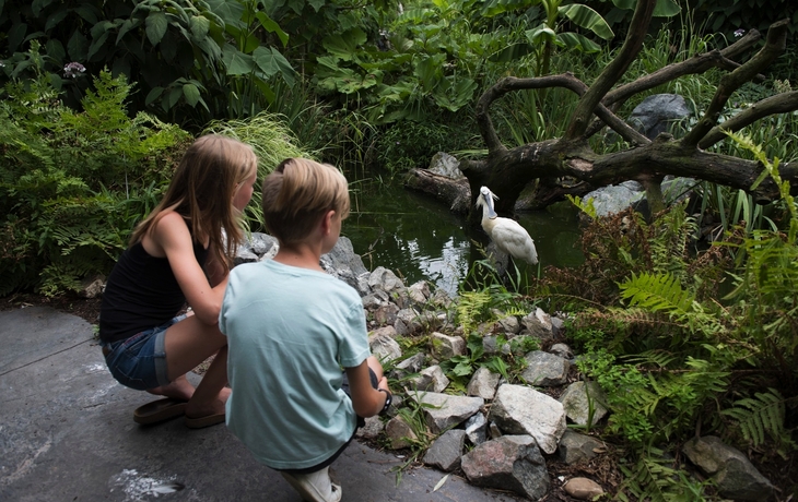 Parc des Oiseaux