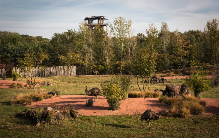 Parc des Oiseaux