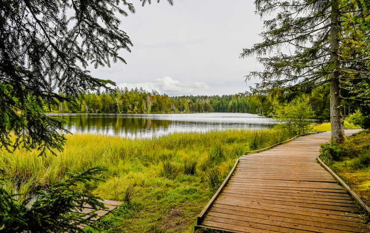 Gruère Teich