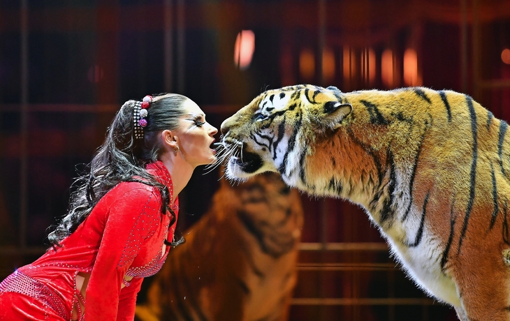 Festival International du Cirque de Monte-Carlo
