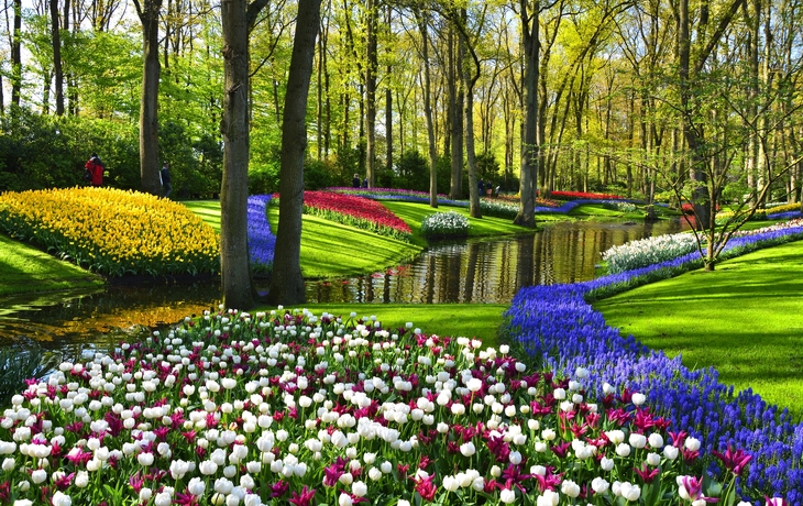 Keukenhof
