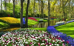 Blumenbeet im Park mit bunten Tulpen und Bäumen im Hintergrund.