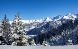 Verschneite Berglandschaft mit Tannenbäumen unter blauem Himmel.