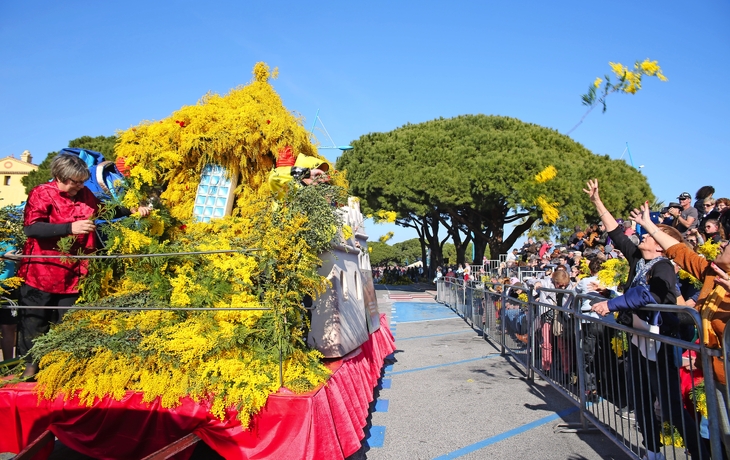 Mimosenfestival