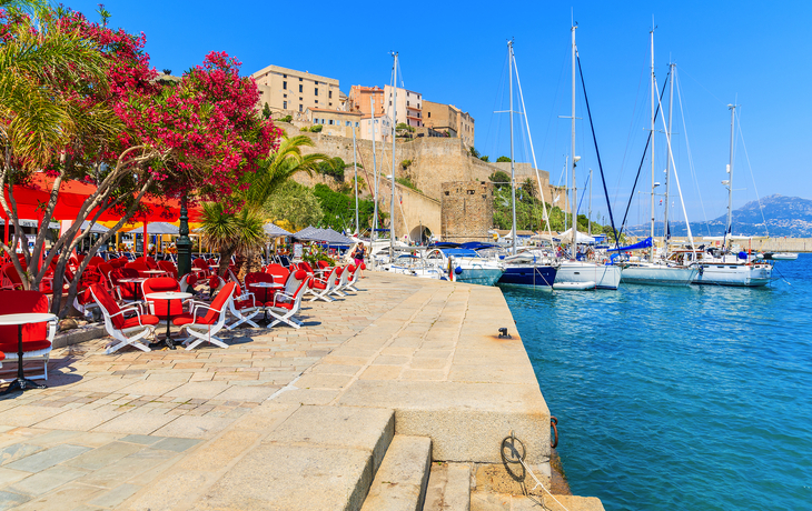 Calvi